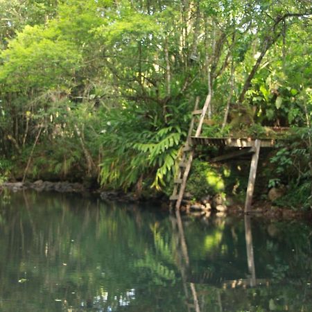 Casa De Campo - Sitio Da Tia Vera Villa Maquine Ngoại thất bức ảnh