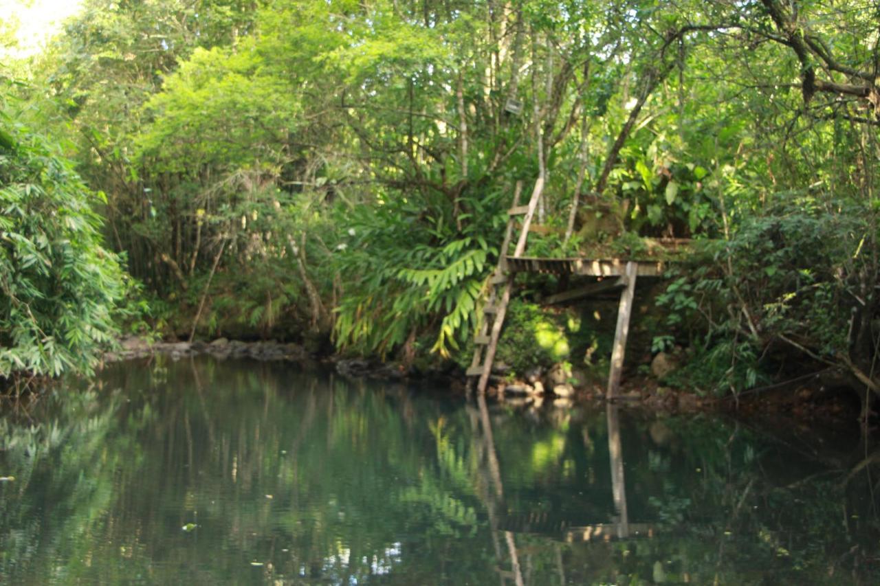 Casa De Campo - Sitio Da Tia Vera Villa Maquine Ngoại thất bức ảnh